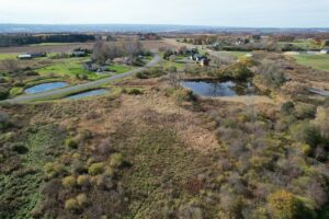 Farm Pond Circle
